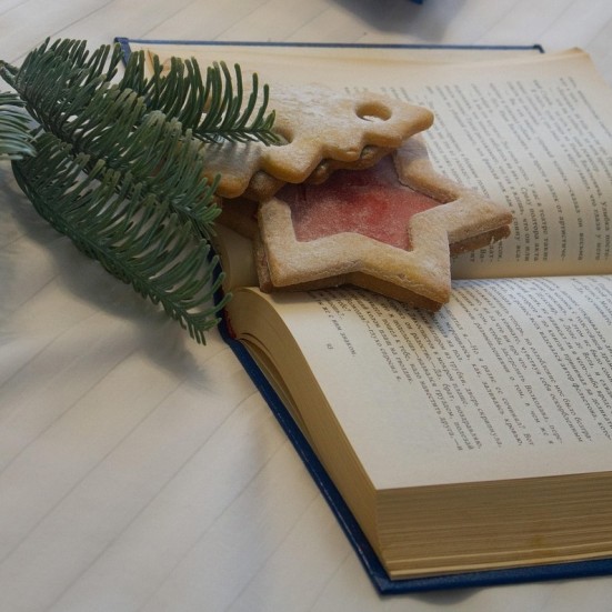 Bog med julekage og grangren