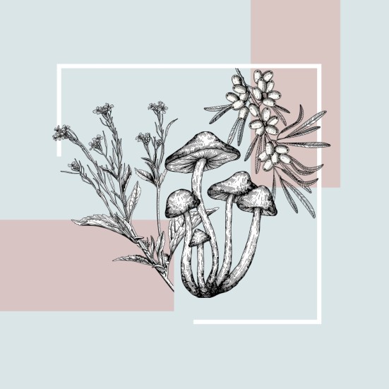 Illustration af svampe og vilde planter på en lys grafisk baggrund.