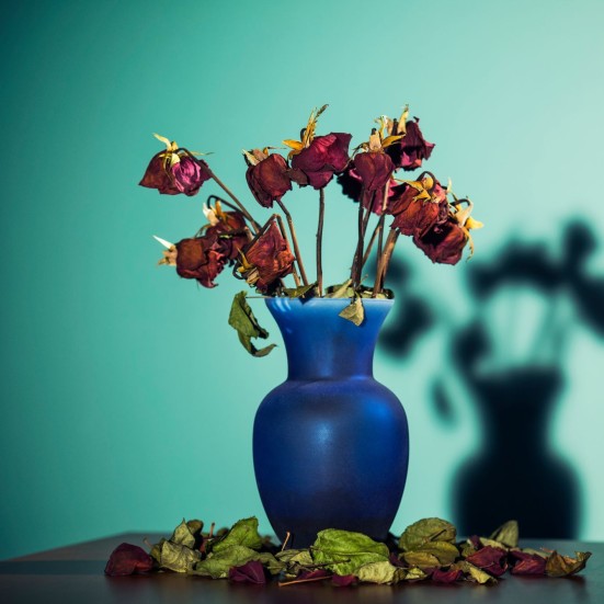 vase med visne blomster