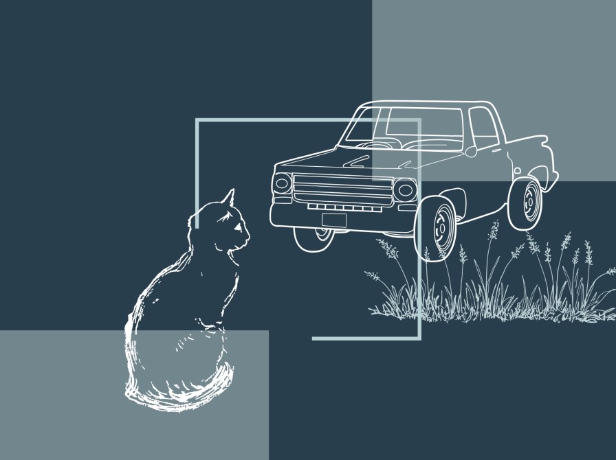 stregtegning af en kat og en bil